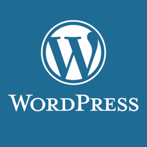 اموزش کار با وردپرس|wordpress|